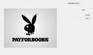 高级内容识别填充 需要PS的高手来看有没有问题