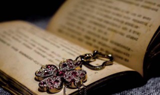 重生之都市修仙主要讲了什么? 具体的内容介绍都在这里了