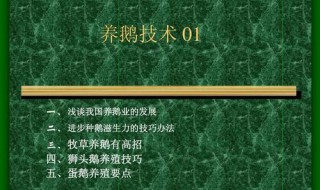 怎样学养鹅子技术 你知道吗？