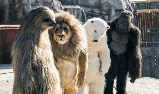 秘密动物园在哪里能看 了解一下