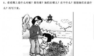 菊花展看图写话一年级怎么写 一年级看图写话菊花展从这些方面写
