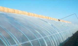 怎样去大棚膜上的露水 去大棚膜上的露水方法