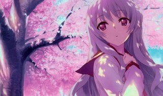 樱花动漫在哪可以下载 详细攻略