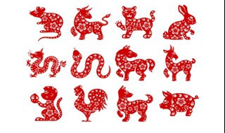 2020年12生肖运势解析 12生肖2020具体运势