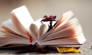 课堂可以教的英文歌 你知道吗?