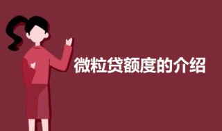 微粒贷额度一般多少 关于微粒贷额度的介绍