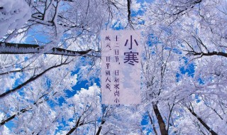 24节气中冬至后下一个节气是什么 24节气中冬至后下一个节气介绍