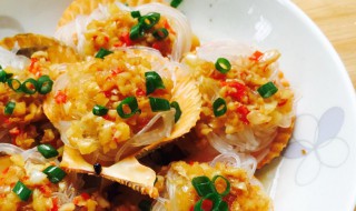 扇贝蒸几分钟能熟 扇贝介绍