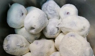 制作奶枣的方法 怎样制作奶枣