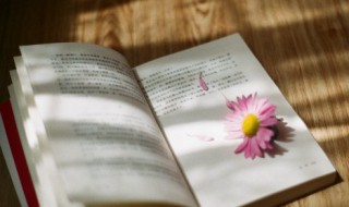 曾巩洪州东门记的原文及译文赏析 洪州东门记的原文及翻译