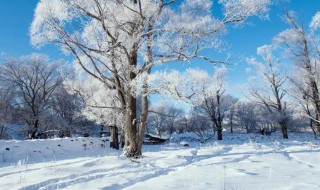 形容冬天之美的句子 形容冬天优美的句子