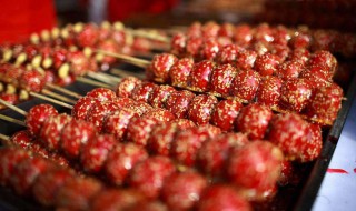 糯米冰糖葫芦的制作方法 糯米冰糖葫芦如何制作