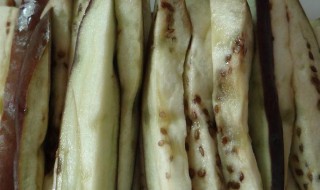 蒸淋茄子的做法 怎么做蒸淋茄子