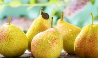 怎么做蒸梨窍门 蒸梨窍门介绍