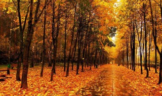 早安励志语录一句话 早安励志语录有什么