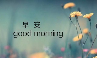 一句早安心语 早安一句话经典心语