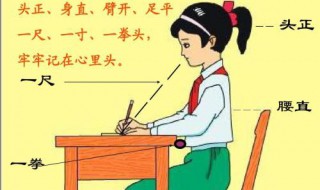 正确坐姿的基本要求 正确坐姿的基本要求是什么