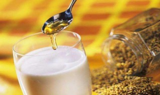 牛奶蜂蜜做面膜的功效与作用 牛奶蜂蜜做面膜有什么功效