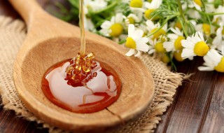 椴树雪蜜的功效与作用 椴树雪蜜有哪些功效和作用