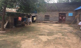 国家扶贫日是哪一天 国家扶贫日介绍