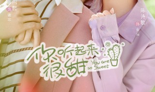 夏小宁顾辰羽是什么电视 夏小宁顾辰羽的电视剧简介