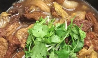 白菜烧牛肉做法步骤 白菜烧牛肉的烹饪方法