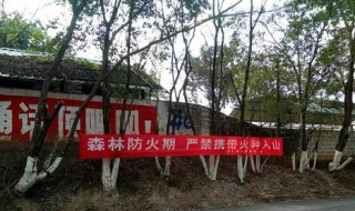 关于森林防火的标语有哪些 森林防火宣传标语