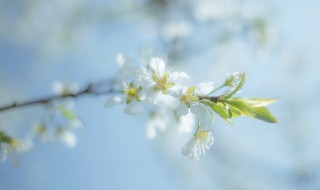 形容人敏感脆弱的句子 形容人敏感脆弱的句子精选