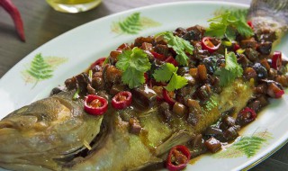 用电饼铛怎样做鲈鱼 饼铛烤鲈鱼的家常做法