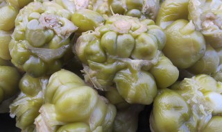 腌制榨菜的方法 腌制榨菜的方法是什么呢