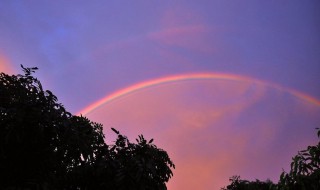 雨过天晴打一生肖 雨过天晴谜底解析