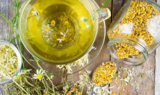 菊花决明子茶适合什么人喝 哪些人喝菊花决明子茶好