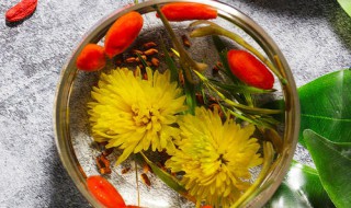 菊花决明子茶一天喝多少合适 菊花决明子茶一天喝多少好