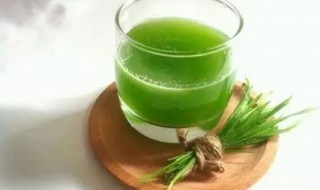 麦苗汁如何做 麦苗汁的简单做法