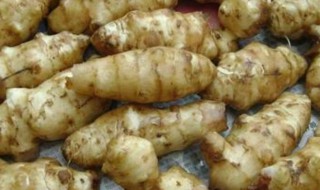 洋姜最好的种植方法 洋姜如何种植