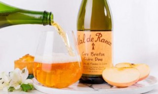 家庭酿苹果酒的方法 如何酿苹果酒