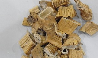 芦根怎么泡水喝 喝芦根的方法