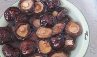 香菇酱怎样做放不坏 怎样做香菇酱放不坏