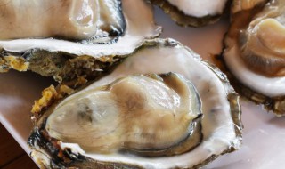 牡蛎煎煮方法 牡蛎煎煮方法是什么