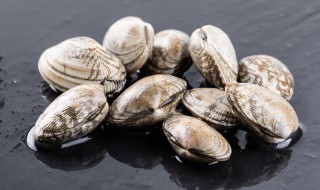 花甲运输怎么保鲜 花甲在运输途中怎样保持成活率