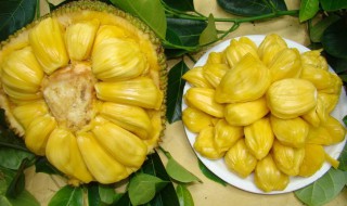 菠萝蜜怎么保鲜 菠萝蜜如何保鲜