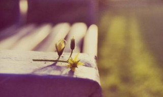 描写幸福的优美句子结尾 关于幸福的优美句子