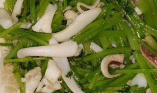香芹目鱼丝如何做 香芹目鱼丝怎么做好吃