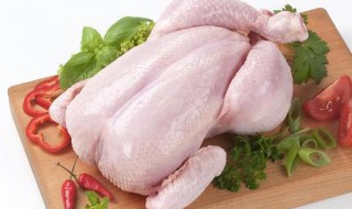 鸡怎么保鲜 怎么保鲜鸡