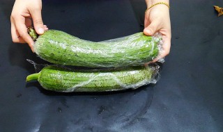 丝瓜怎么保鲜 丝瓜保存新鲜的方法