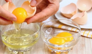 制作鸡蛋酱方法 鸡蛋酱制作方法
