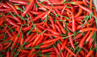 鲜辣椒怎么保鲜 鲜辣椒如何保鲜