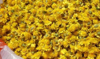 菊花干燥处理方法 菊花的干燥方法有哪些