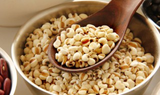 薏米粥的做法步骤 薏米粥的烹饪方法