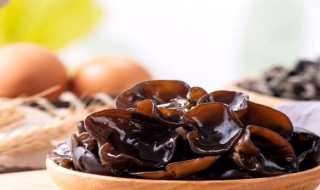 酸爽木耳做法步骤 酸爽木耳做法步骤简述